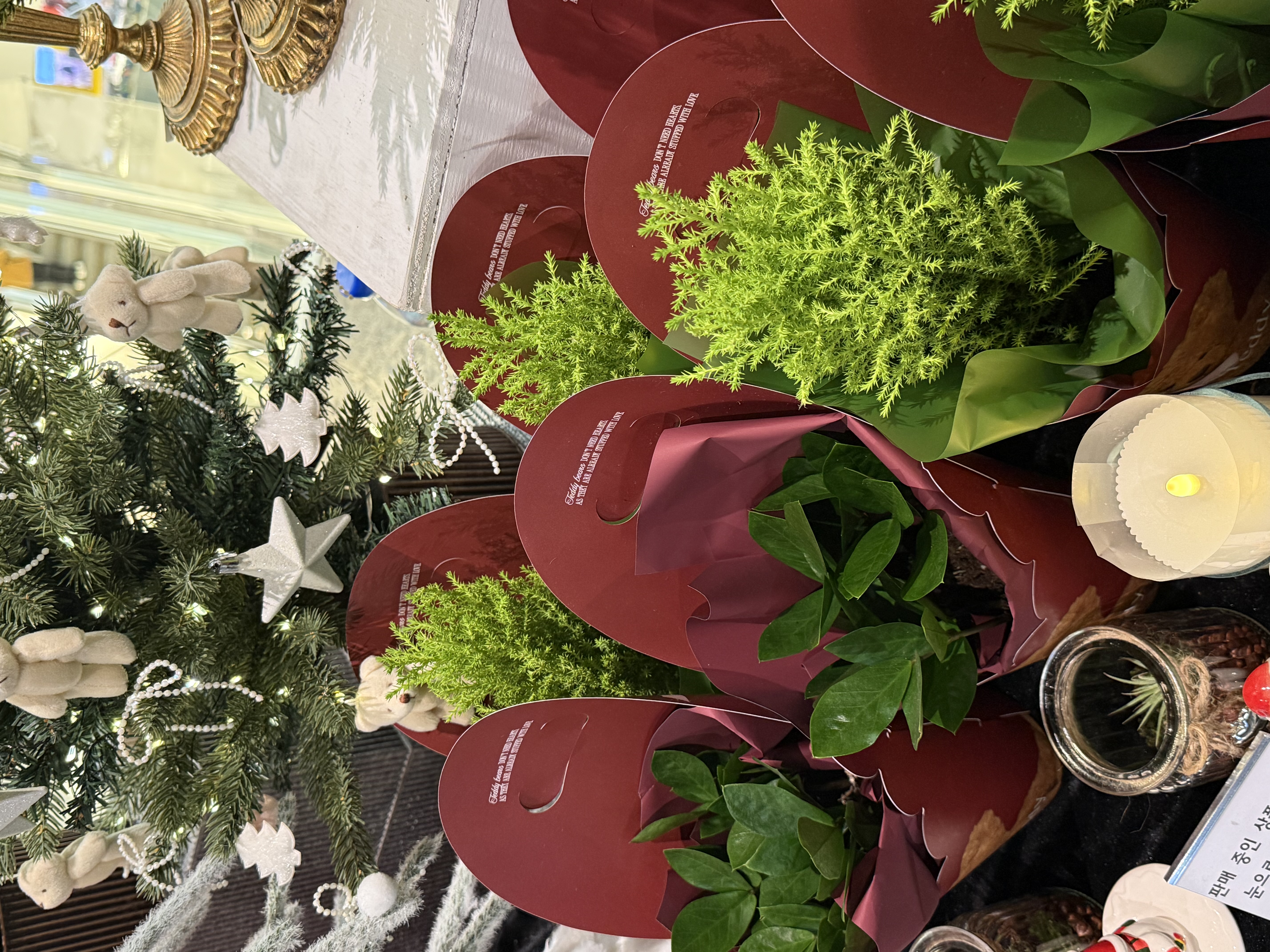 수운플라워 : 크리스마스 소품 pop up in 스타필드 경산