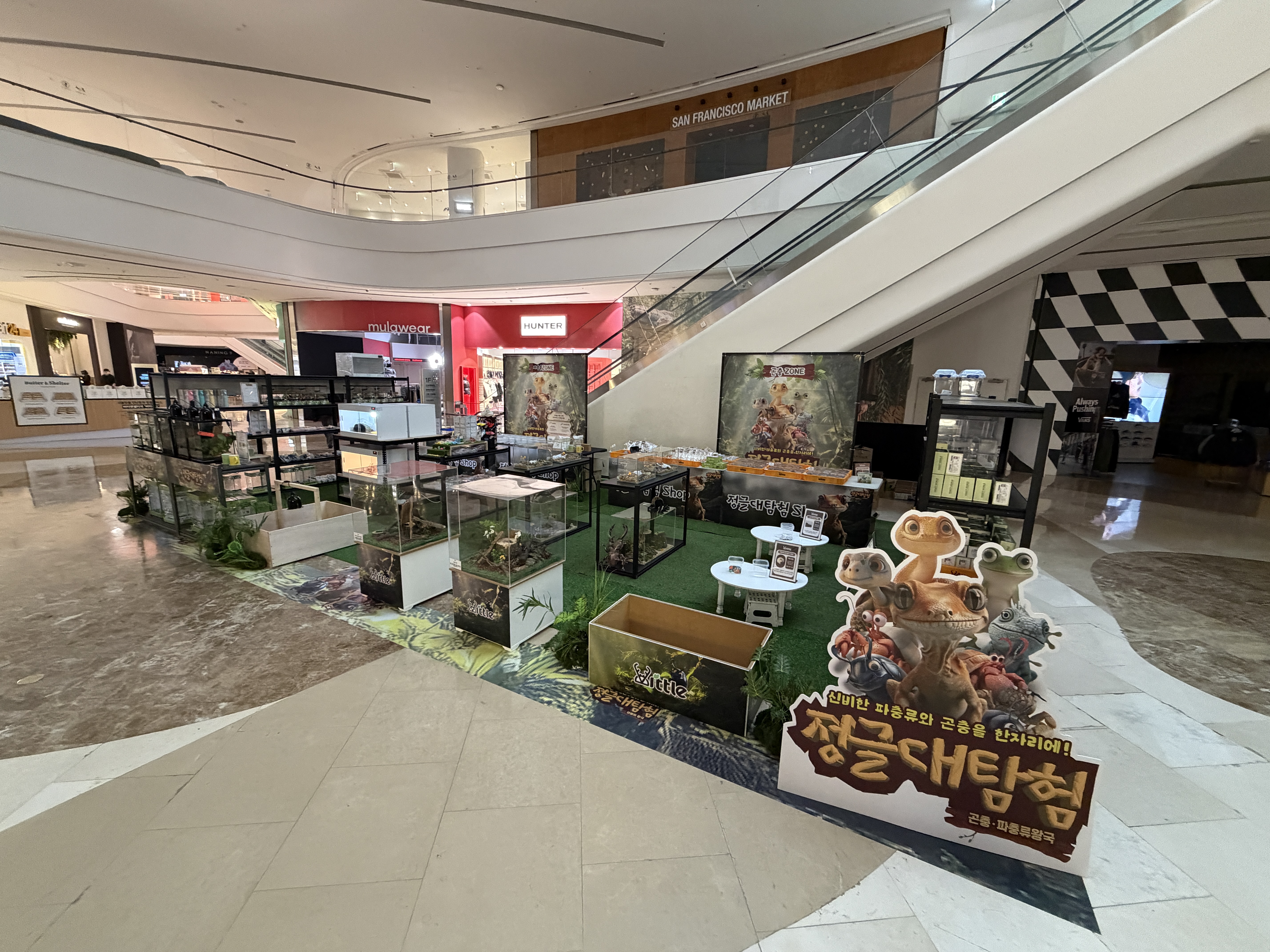 정글대탐험:곤충, 파충류왕국 in 스타필드마켓 킨텍스점